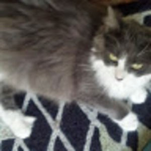 Meet your Posher, Sharon parker